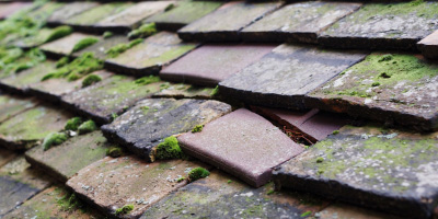 Enborne roof repair costs